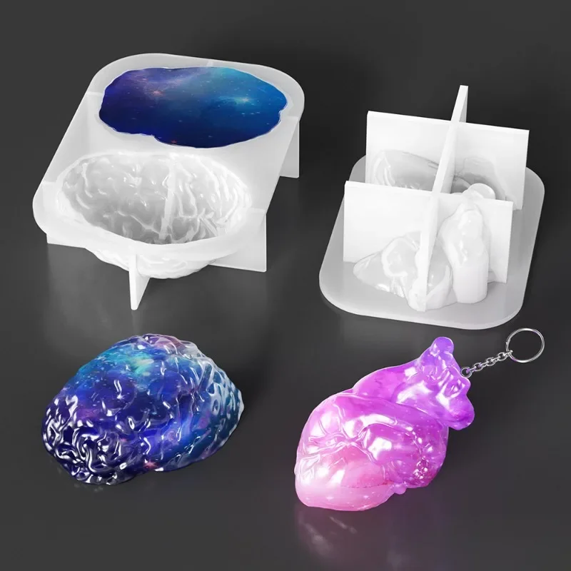 Silicone Molds Set Human Organ - Silicone Epoxy Resin Molds Set review and price